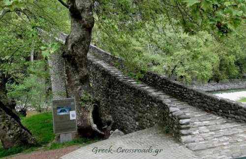 Παραδοσιακή πέτρινη κατοικία στην Βλάχα Ελάτης - Foto 56