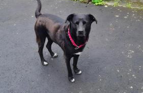 Casa-Sarah Ferienwohnungen - Photo 50