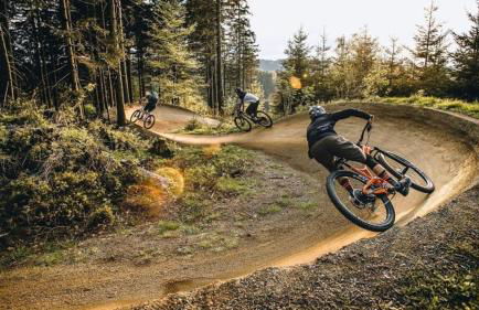 Schöne Ferienwohnung mitten im Pfälzerwaldgebiet - Foto 43