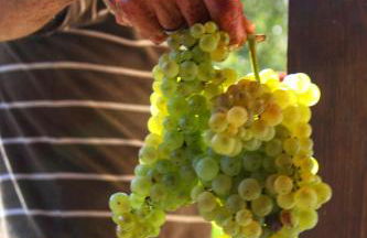 agriturismo il poderetto - Foto 71