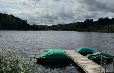 BergOase-Apart am Feldberg - Foto 36