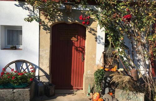 Ferienwohnung „Am Gnaucks Hutberg“ - Foto 63