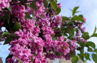 Appartement de luxe - Foto 33