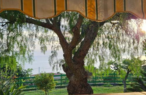 Case Vacanze Macchione - Foto 53