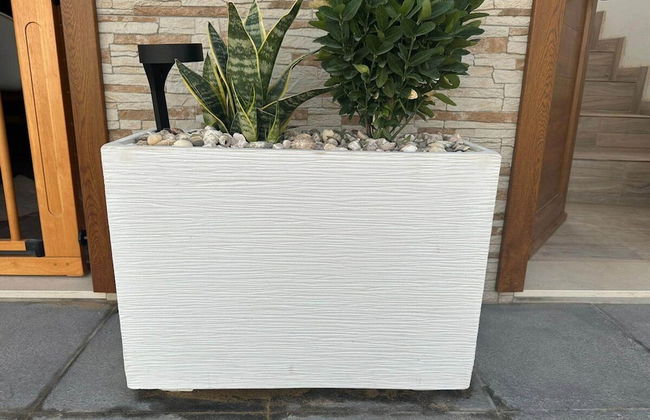 Bayside La Graciosita Traditional Home - Foto 27