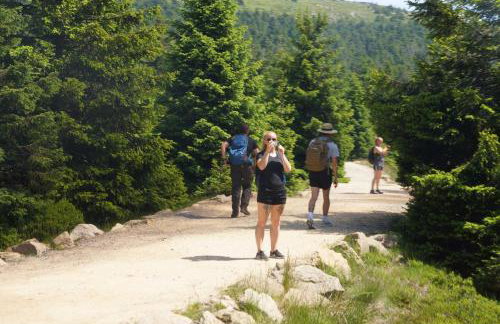 Komfort-Ferienwohnung am Paradies 66 A - Foto 21