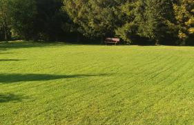 Agroturystyka Stokrotka - Foto 31