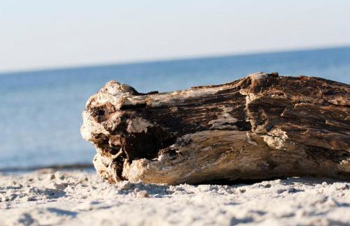 Strandvilla Börgerende - Foto 23