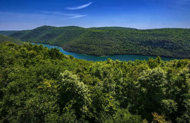 Patricia Comfortable Holiday Residence - Foto 19