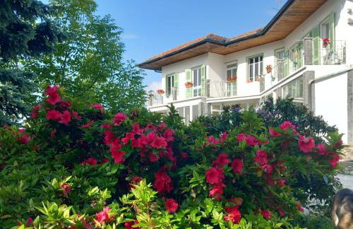 Residenza il Rododendro - Foto 1