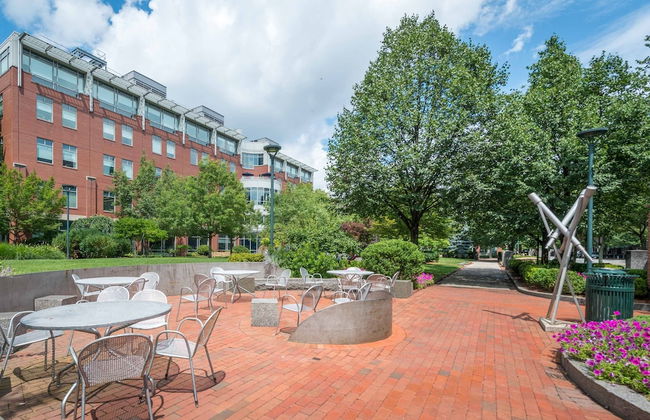 Pelicanstay in Central Square Cambridge - Foto 24