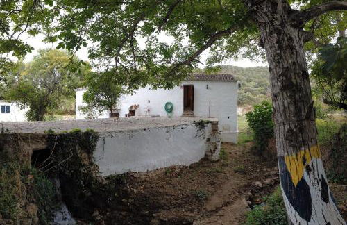 Molino de Simón - Photo 29