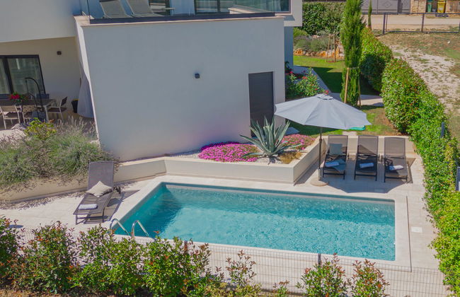 Marko Aurelia - Foto 13