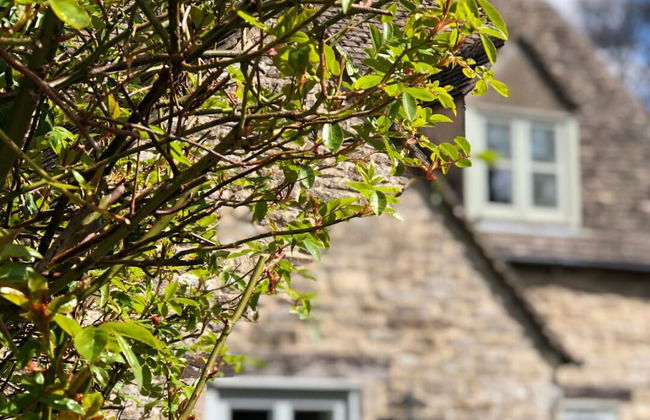 Greystones Cottage - Photo 20