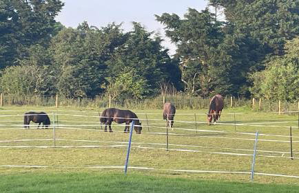 Tranquil Equestrian Escape - Sleeps 2 - Foto 1