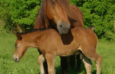 Casa Rural Aldekoa - Foto 39