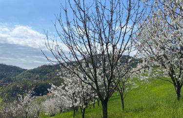 La Casetta in Costa - Foto 24