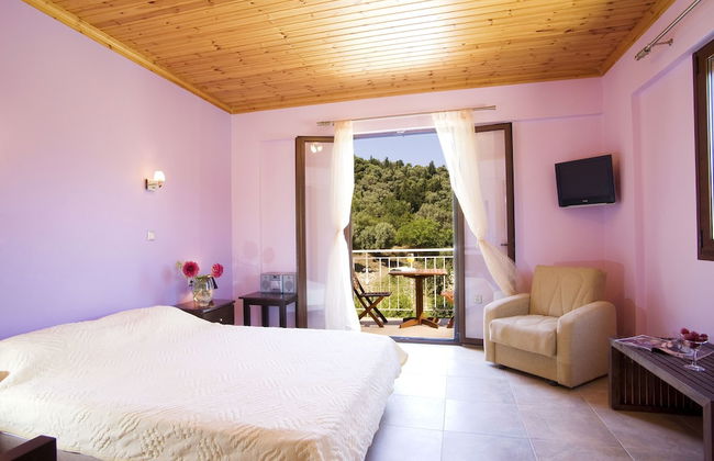 Il Viaggio Verde - Photo 3