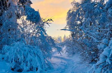 Vedders Berghütte - Foto 42