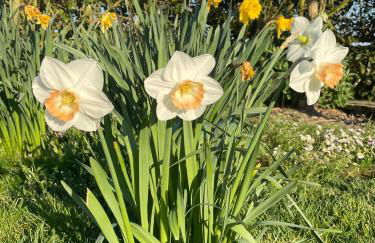 Hardy View Farm House - Photo 12