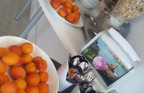 L'annexe de l'Hôtel de l'Europe - Foto 20