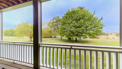 Near Douglas Lake 1st Floor Studio Dog Friendly - Foto 2