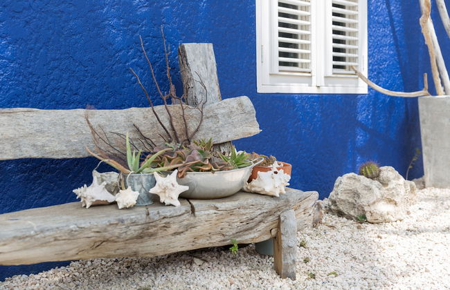 Blachi Koko Apartments Bonaire - Foto 40