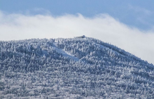 Pico Village Resort by RedAwning - Foto 68