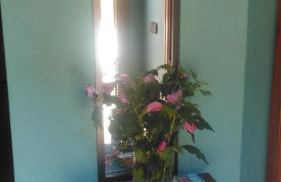 Casa Rural Aristondo Agroturismo - Foto 18