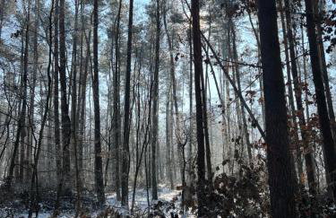 Apartament Jerzyn - Foto 57