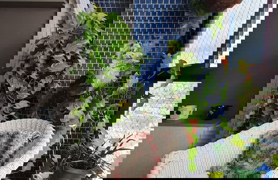 Apt 2 quartos com varanda próximo Praça Casa Forte o bairro mais agradável do Recife ARN901 - Foto 36