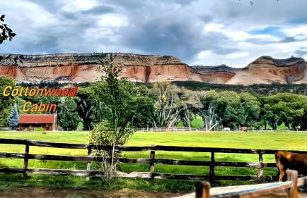 Arrowhead Country Cabins - Foto 21