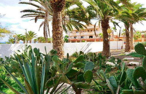 Casita perla blanca - Foto 29