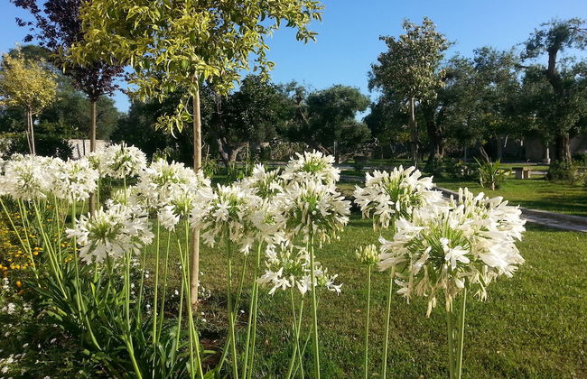 Willaria country house - Photo 54