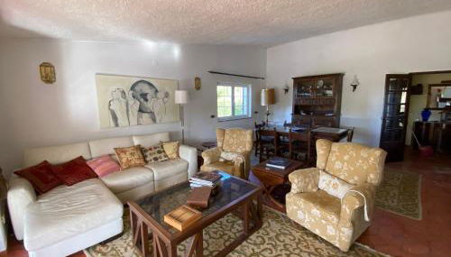 Cama da Vaca - Foto 4