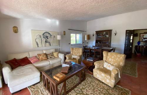 Cama da Vaca - Foto 4