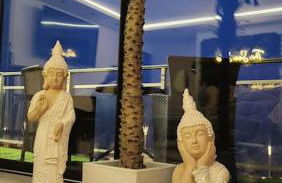 Sea Side Calais vue mer - Foto 12