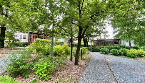 Tenuta Montebello - Foto 5