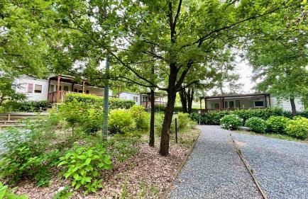 Tenuta Montebello - Foto 5