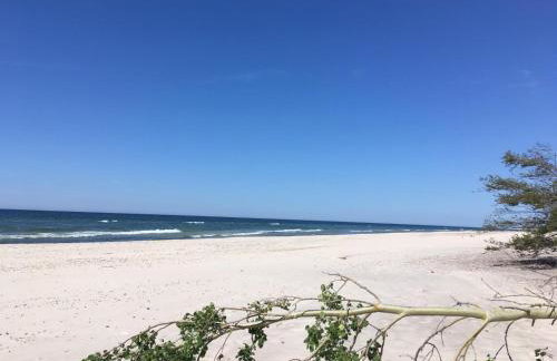 RAJSKA PLAZA Poddąbie Basen odkryty brodziki Basen kryty Plac zabaw Animacje - Foto 52