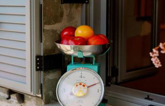 Armonia Pramanta Mountain Tzoumerka - Photo 31