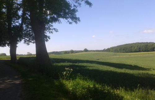 Ostsee Reetkate - Foto 65