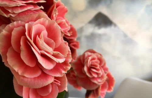 El Cau de Ribes - Foto 4