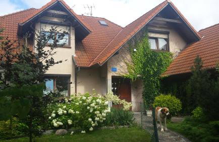 Apartament Leśna - Foto 1