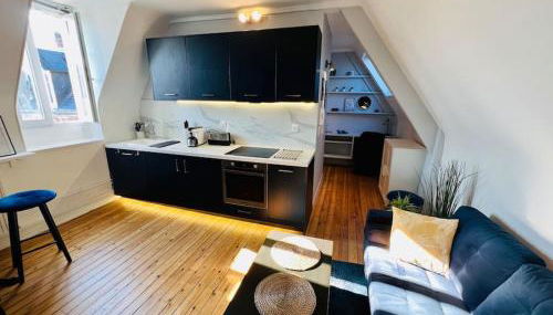 Appart Rouen Jardin des plantes - Foto 3