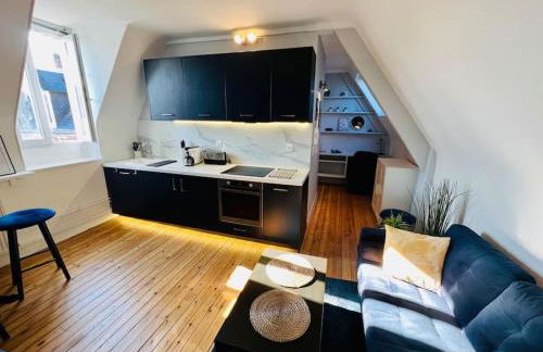 Appart Rouen Jardin des plantes - Photo 3