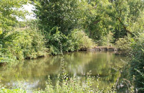 Beautiful 2 Bedroom Barn -Stansted Airport 2 miles - Foto 41