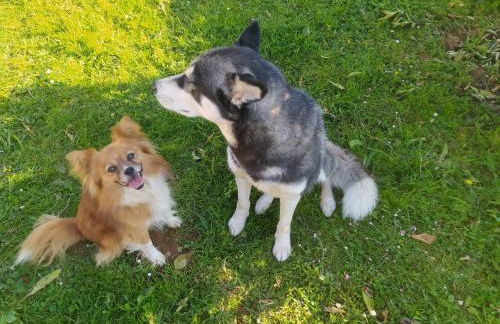 Apartamentos Casa Alvarina - Luarca - Foto 43