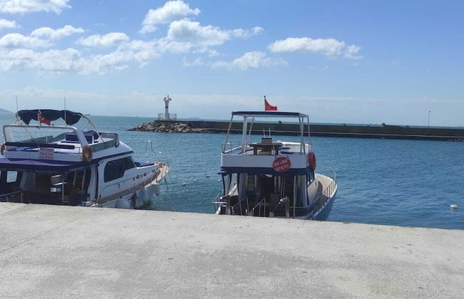 fafsuitehome - Foto 11