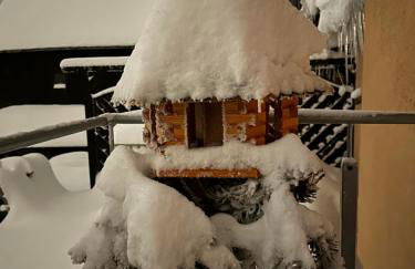 Ferienhaus Hentzschel - Foto 15